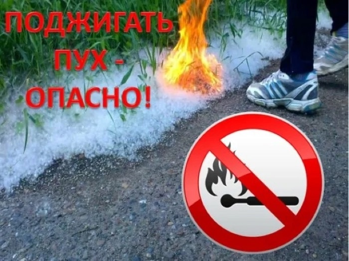 Поджигать пух - опасно!.